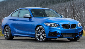 Bmw F22 2 Serisi Coupe Oto Deri Deme