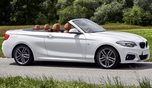 Bmw F23 2 Serisi Cabrio Oto Deri Deme