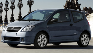 Citroen C2 Oto Deri Deme