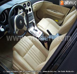 Alfa Romeo 159 (939) talyan Hakiki Deri Deme