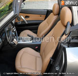 Bmw (E85) Z4 thal Alman Suni Deri Deme 